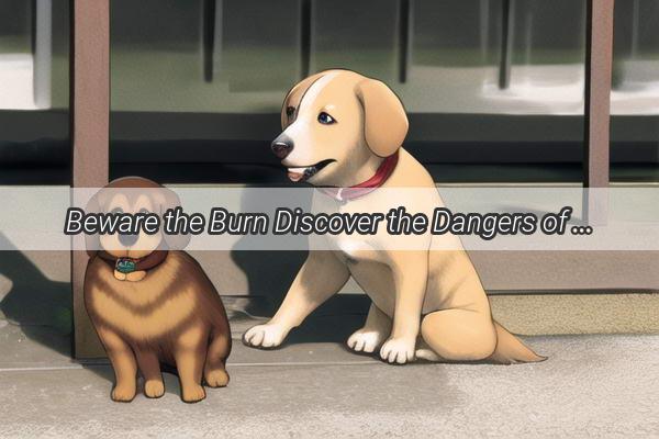 Beware the Burn Discover the Dangers of Feeding Your Pooch Something Too Scorching